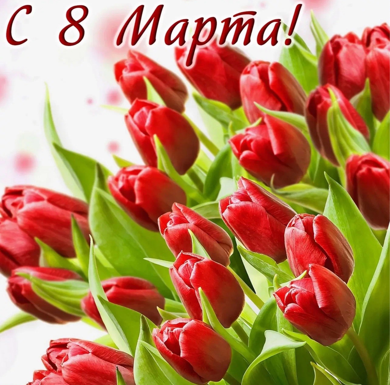 Поздравления директора школы в 8 марта!.
